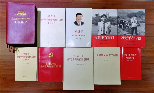 为深入学习贯彻习近平法治思想，认真贯彻落实习近平总书记关于律师工作的重要指示批示精神，突出政治主线，强化思想引领，深入开展律师行业政治教育、警示教育、典型教育。4月2日，陇南市律师行业突出问题专项治理