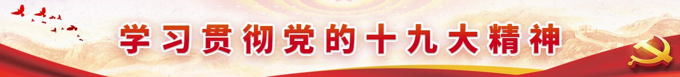 学习贯彻十九大精神专题